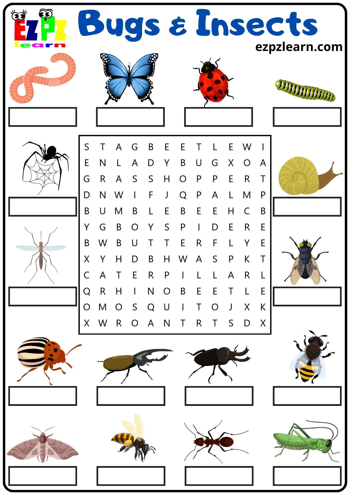 Bugs And Insects Vocabulary Word Search And Write The Words Activity ...